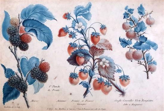 Francois Roubillac (1702-1762). A set of four framed coloured engravings of fruits 7.5 x 11.5in.